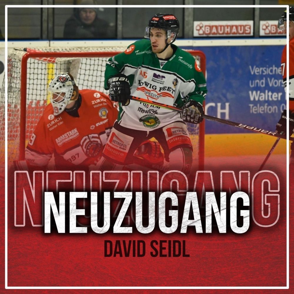 David Seidl